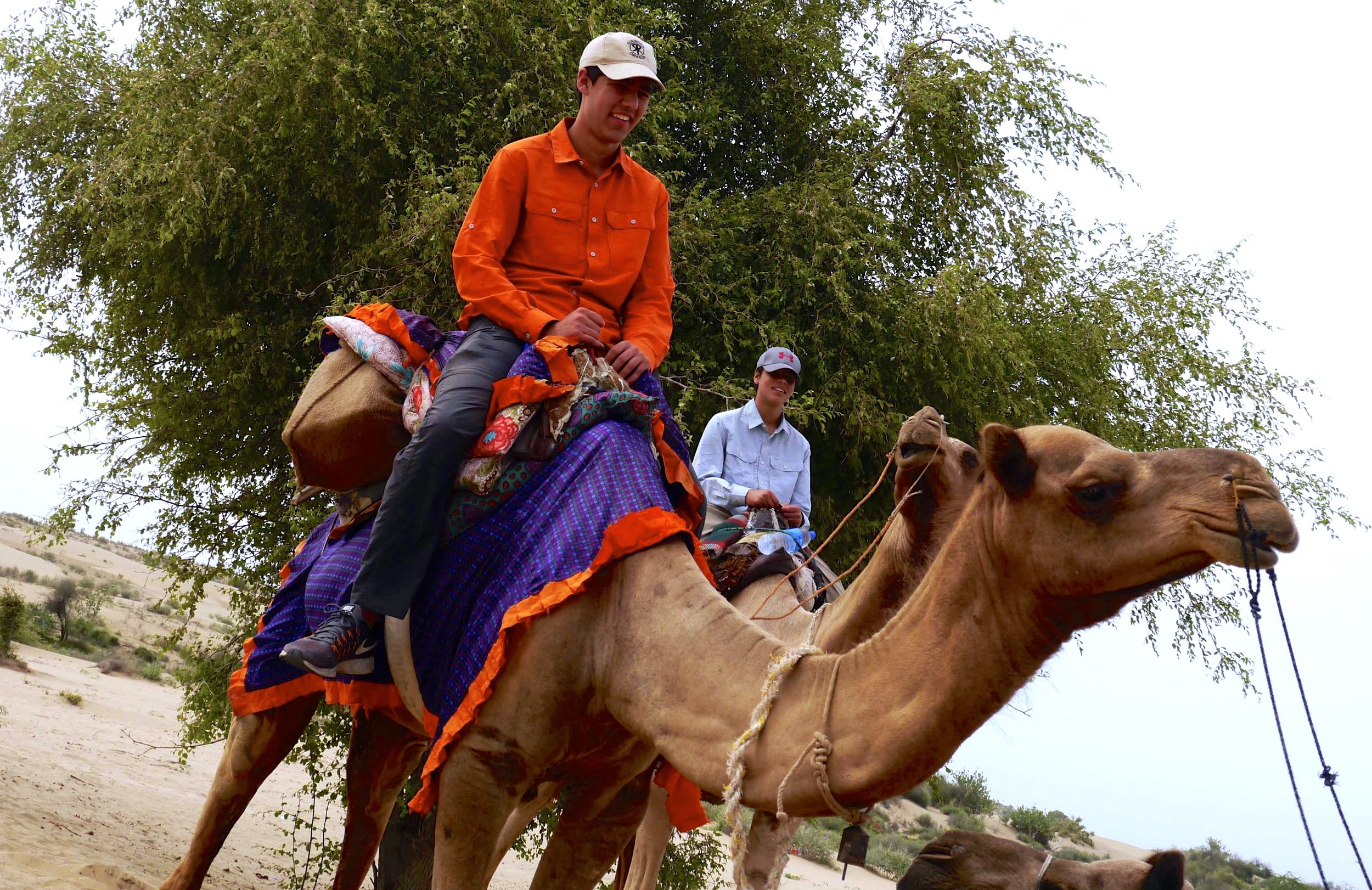 5/Camel rides & desert treks
