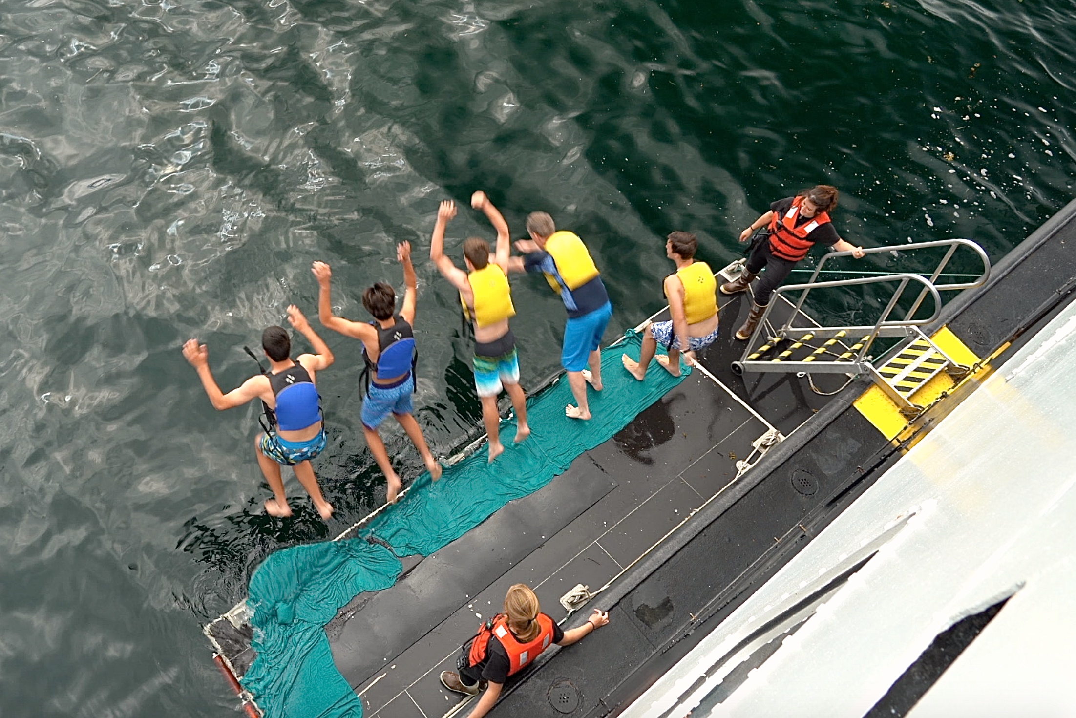 8/Polar plunge