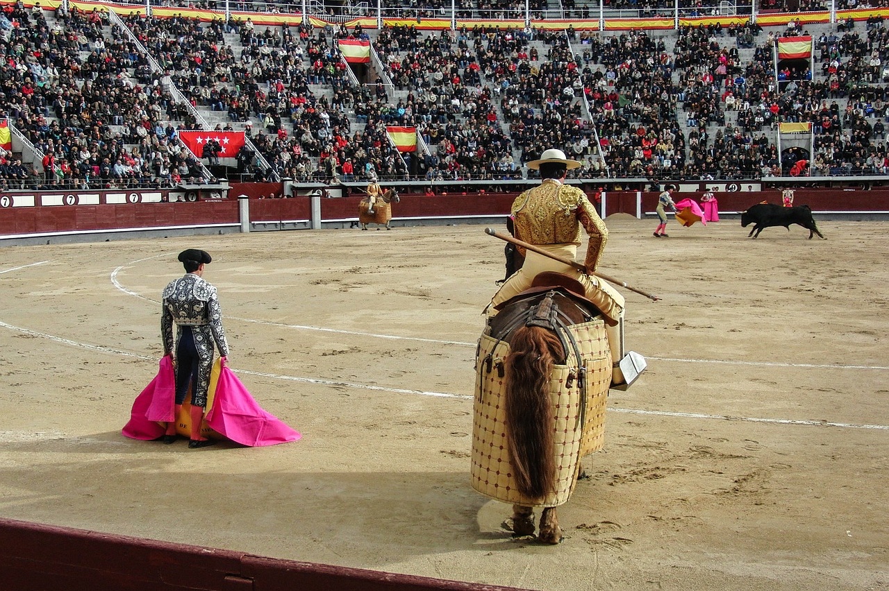 9/What about bullfights?