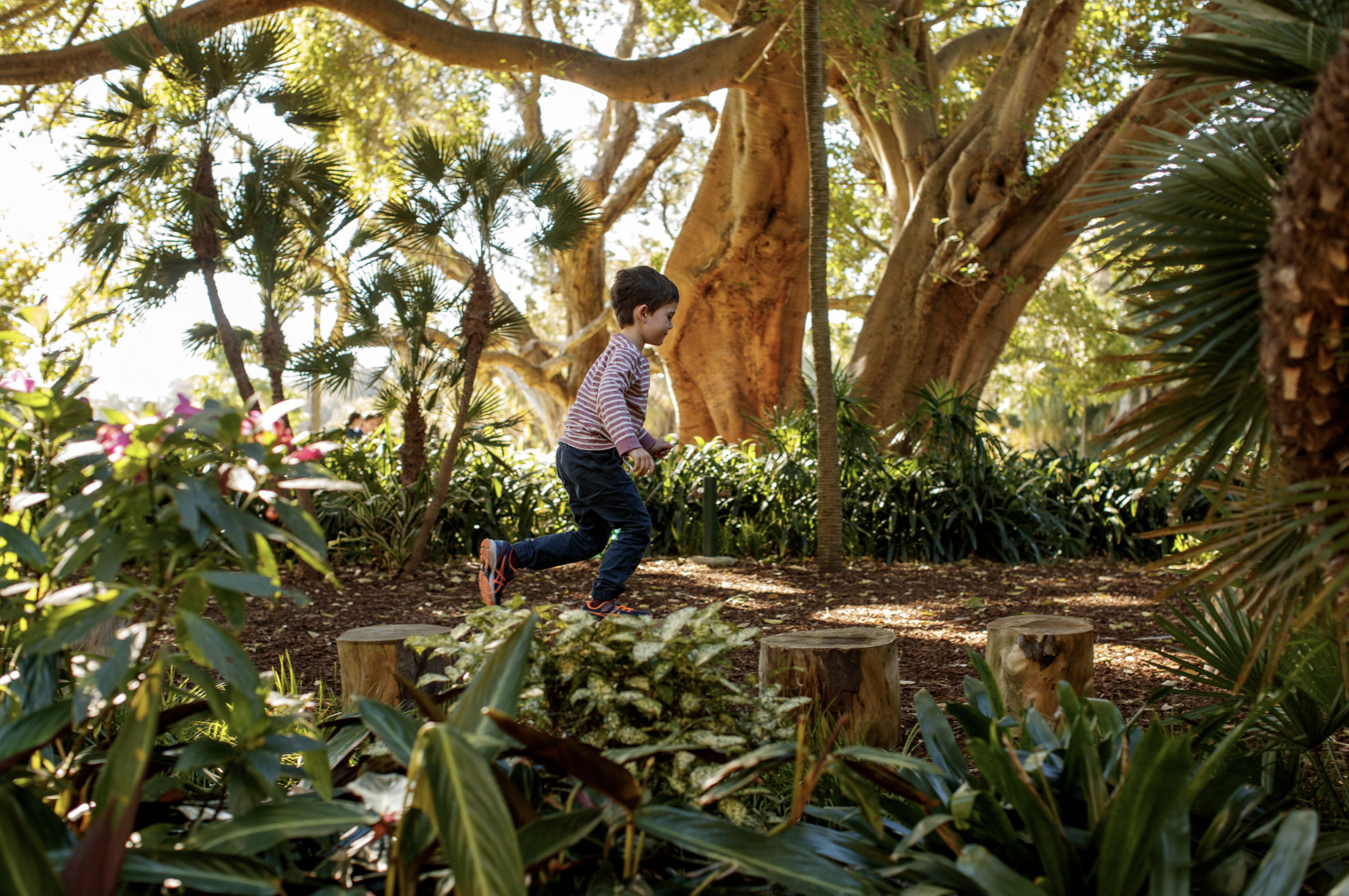 8/Royal Botanic Garden