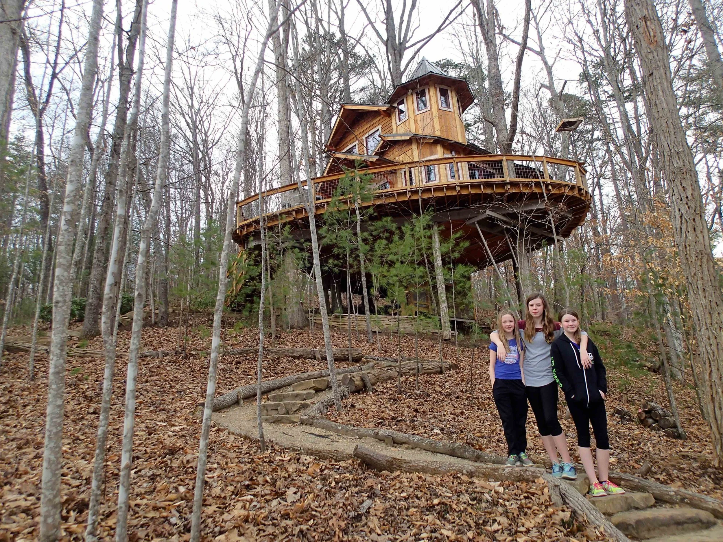 2/Carolina Jewel Treehouse