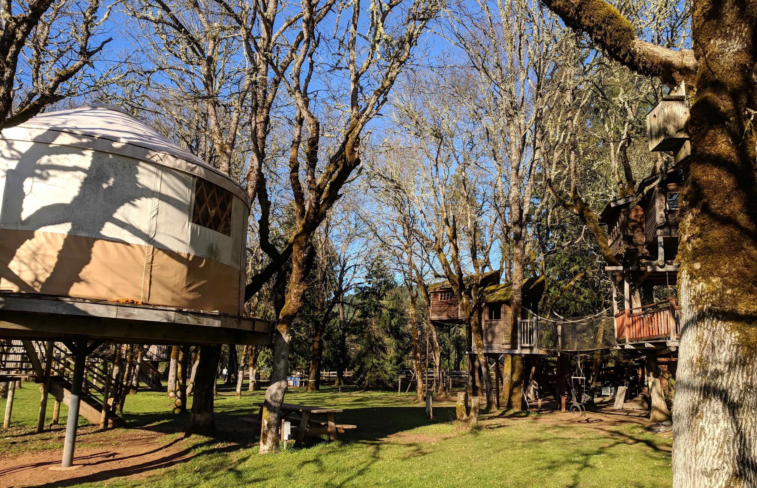 1/Out 'N' About Treehouse Treesort