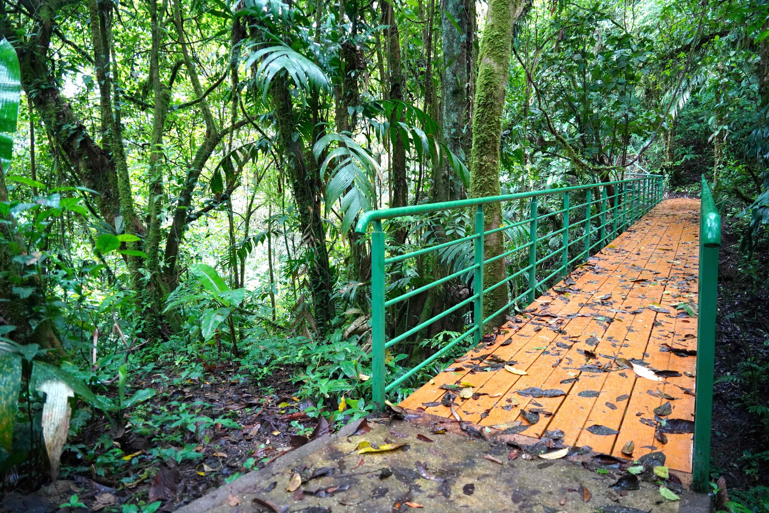 3/Accessible travel for all