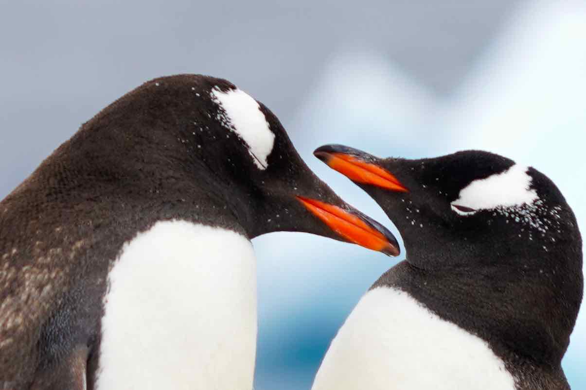 3/Spectacular wildlife viewing