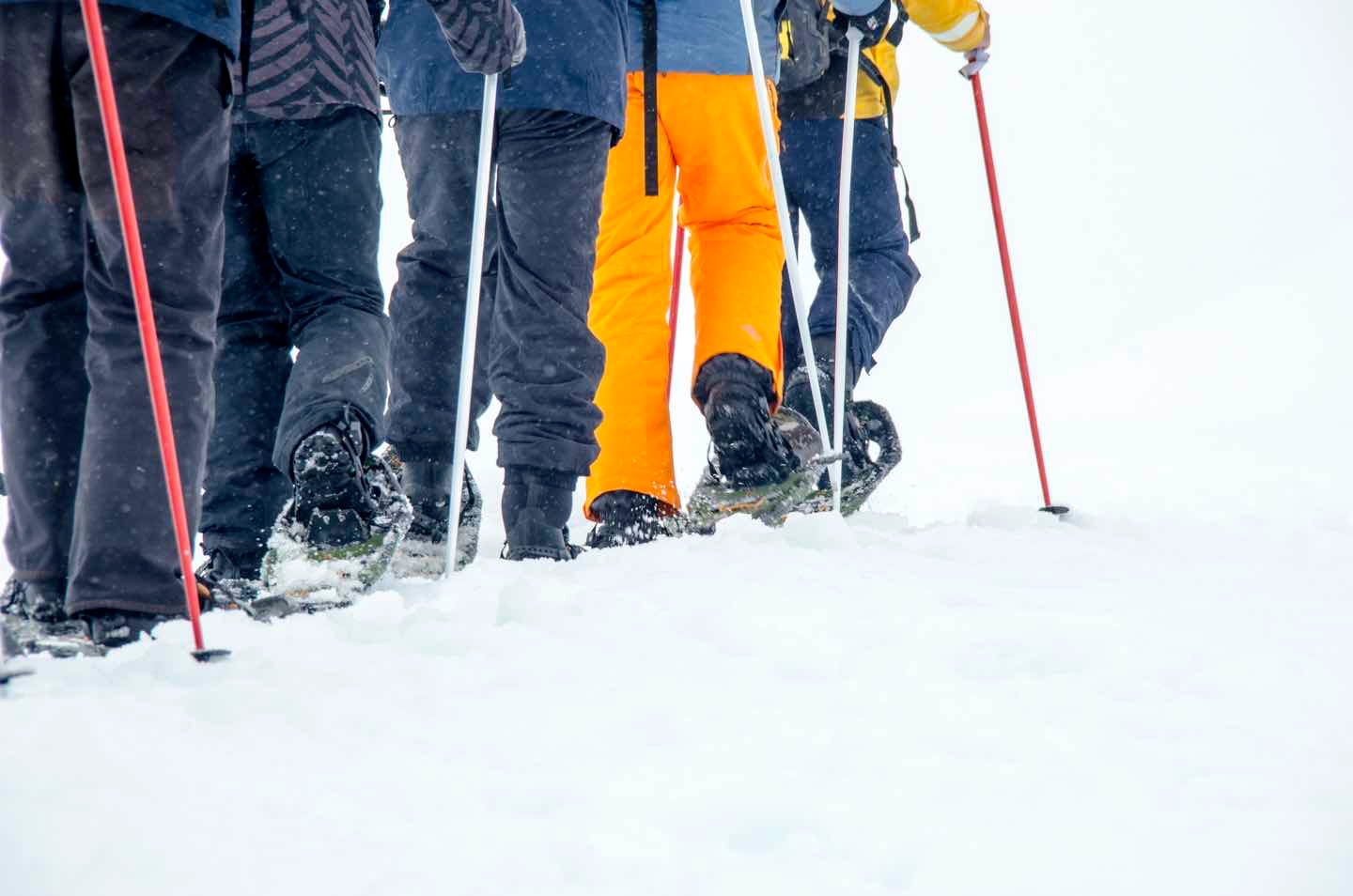 1/Snowshoeing up mountains