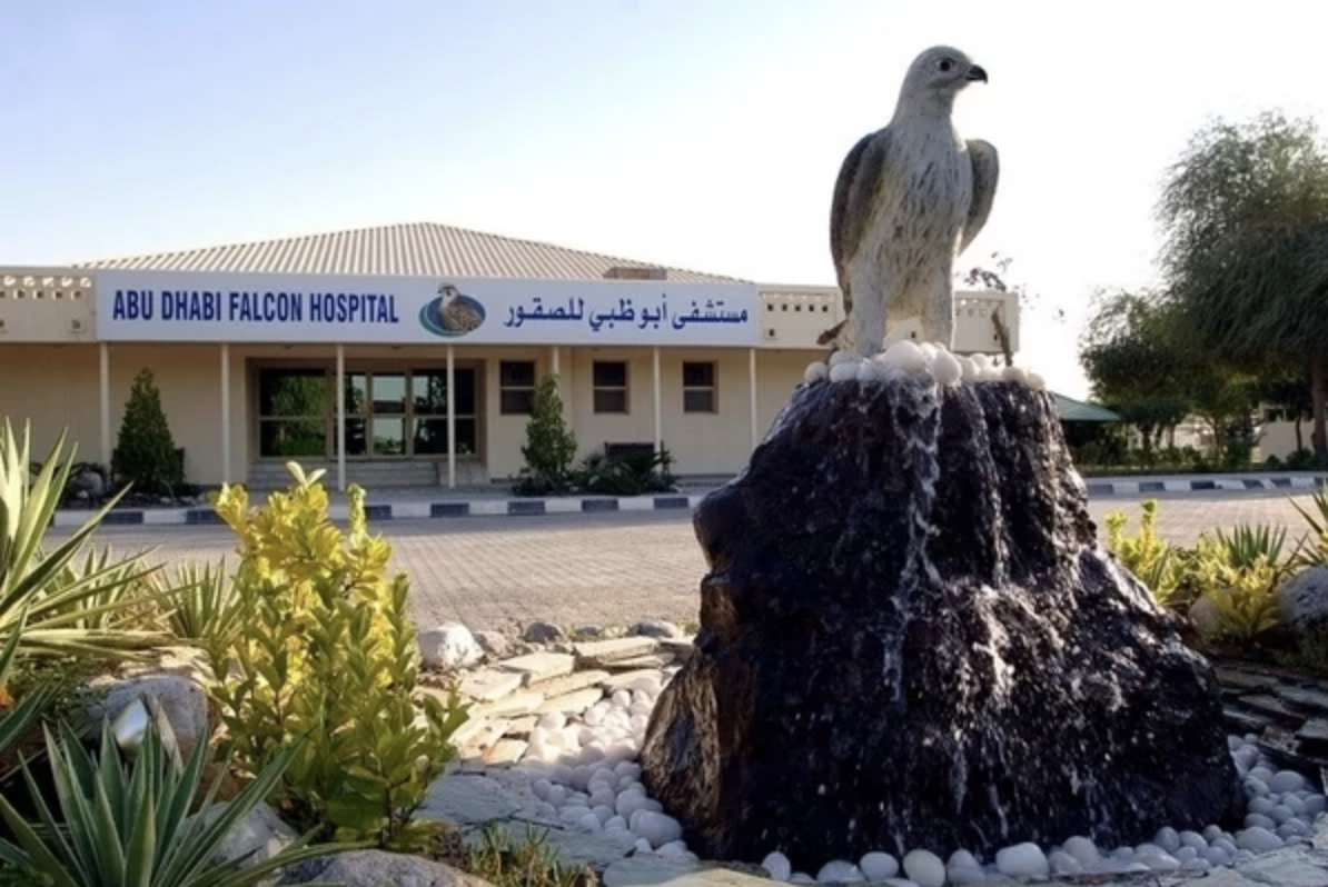 6/Abu Dhabi Falcon Hospital