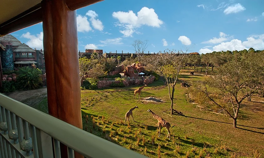 Disney World:Animal Kingdom Lodge.jpg