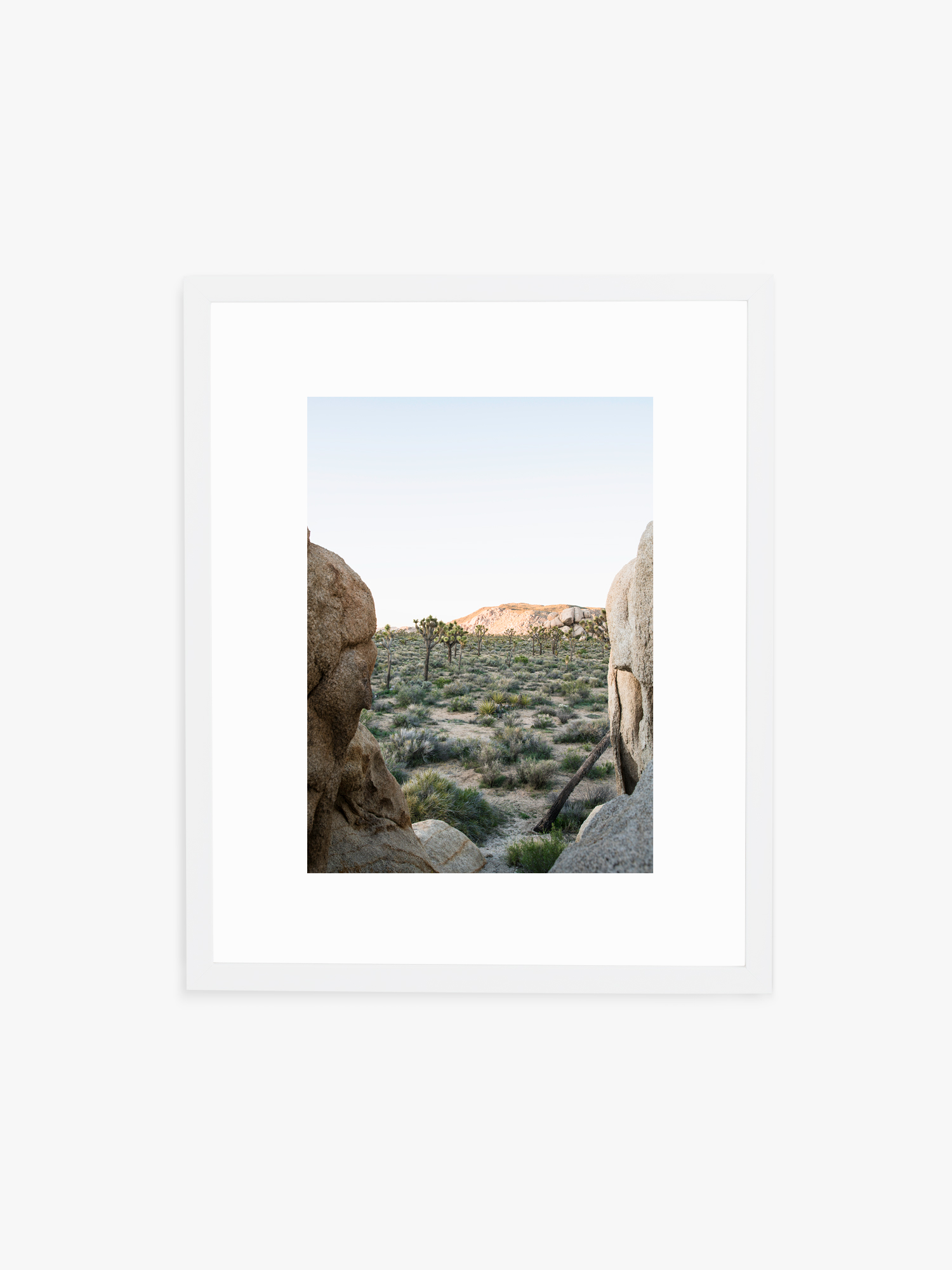 Looking out on Joshua Tree — Available as a Print or Framed in White or Black Wood. Comes in frames 8x10 up to 30x40.