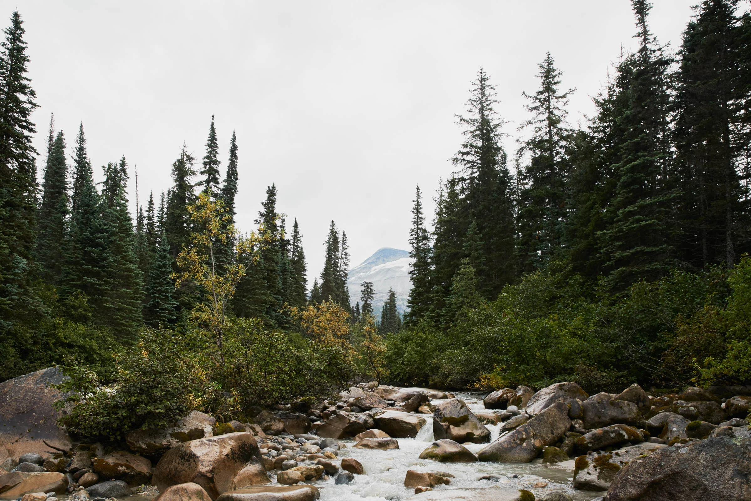 JCSxAlaska_091917_686_Final_jchong.jpg