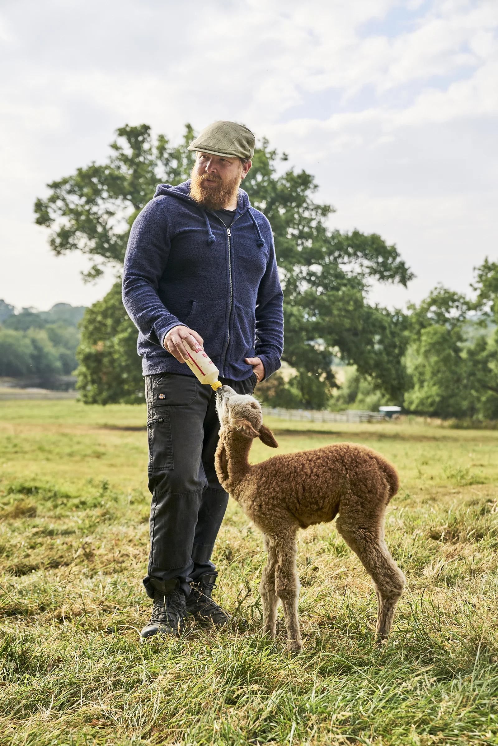 Terry Barlow of Alpacaly Ever After / Jennifer Chong
