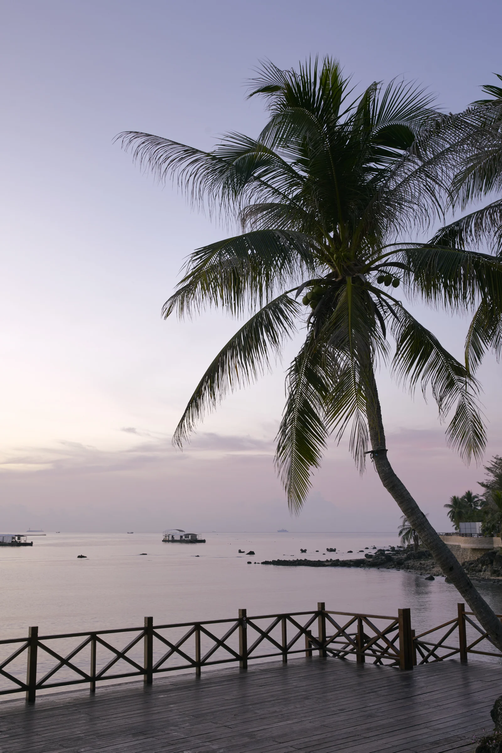 Shanhaitian Resort Sanya - Sunset Palm Tree