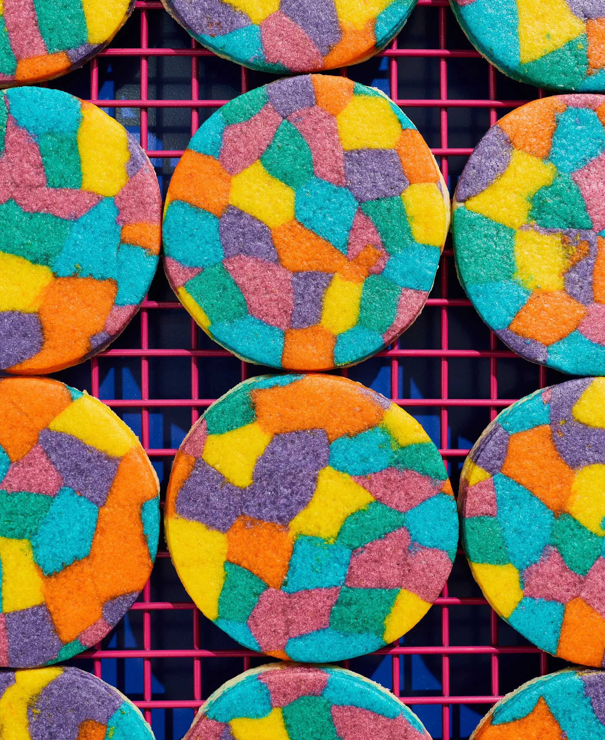 rebel_holi-cookies_0696.jpg