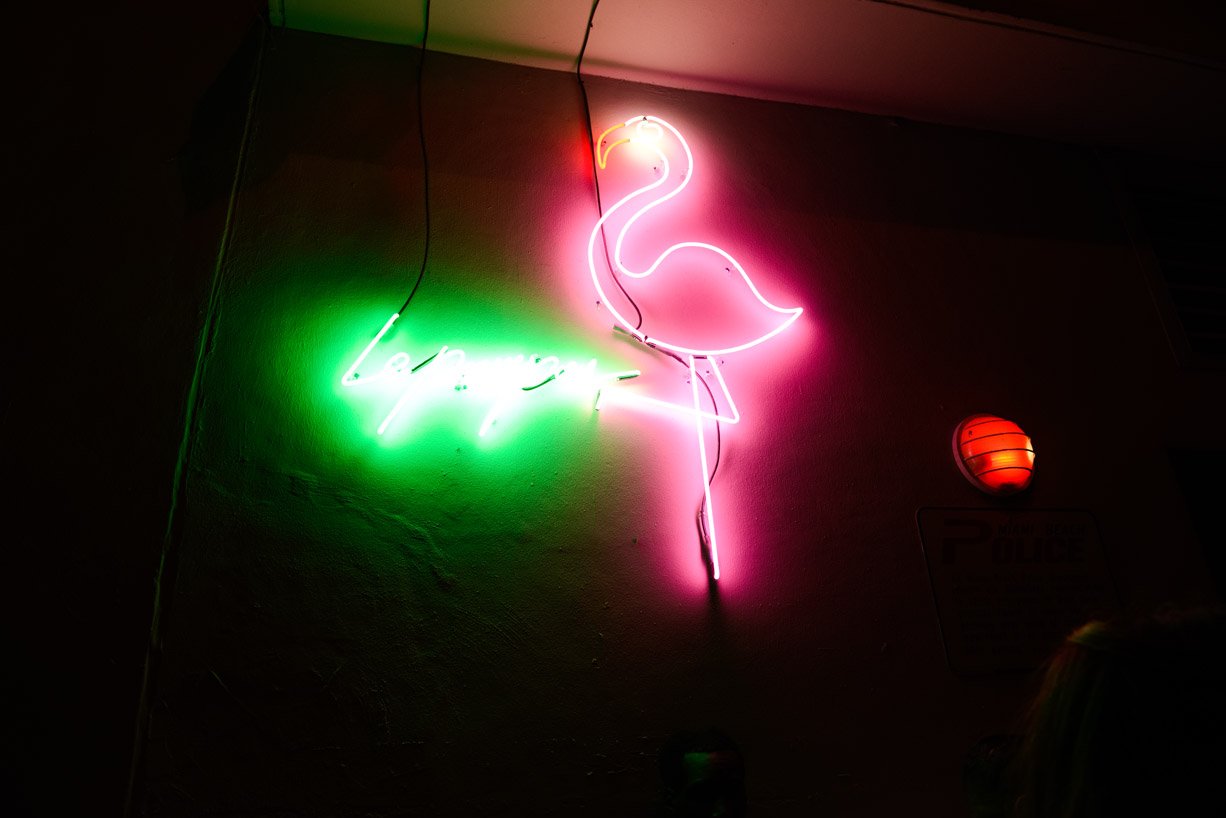 PINK FLAMINGOES.jpg