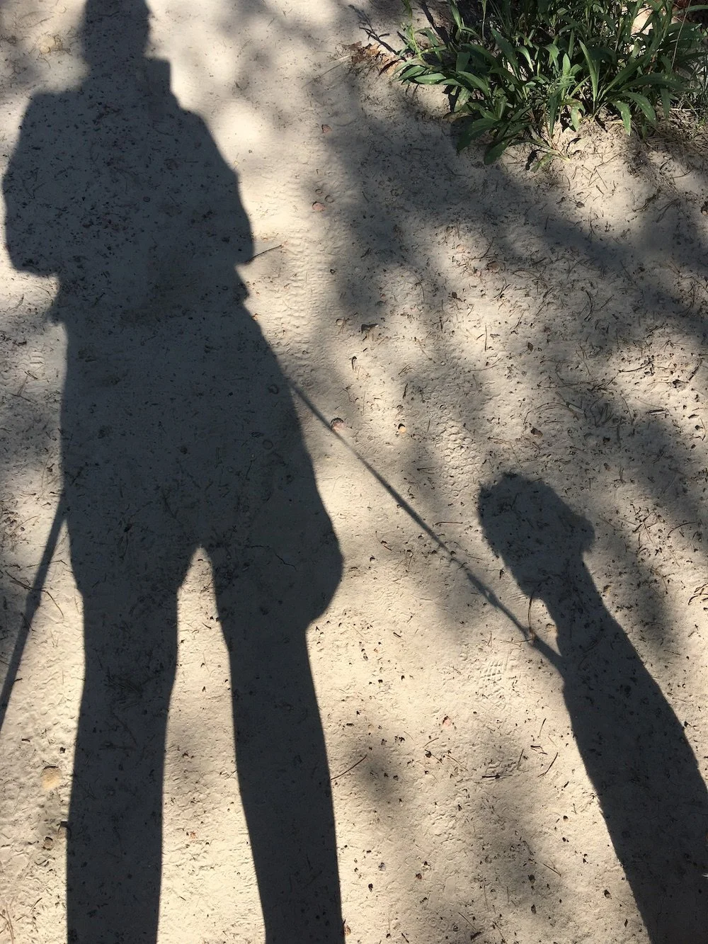 Slow, simple and small