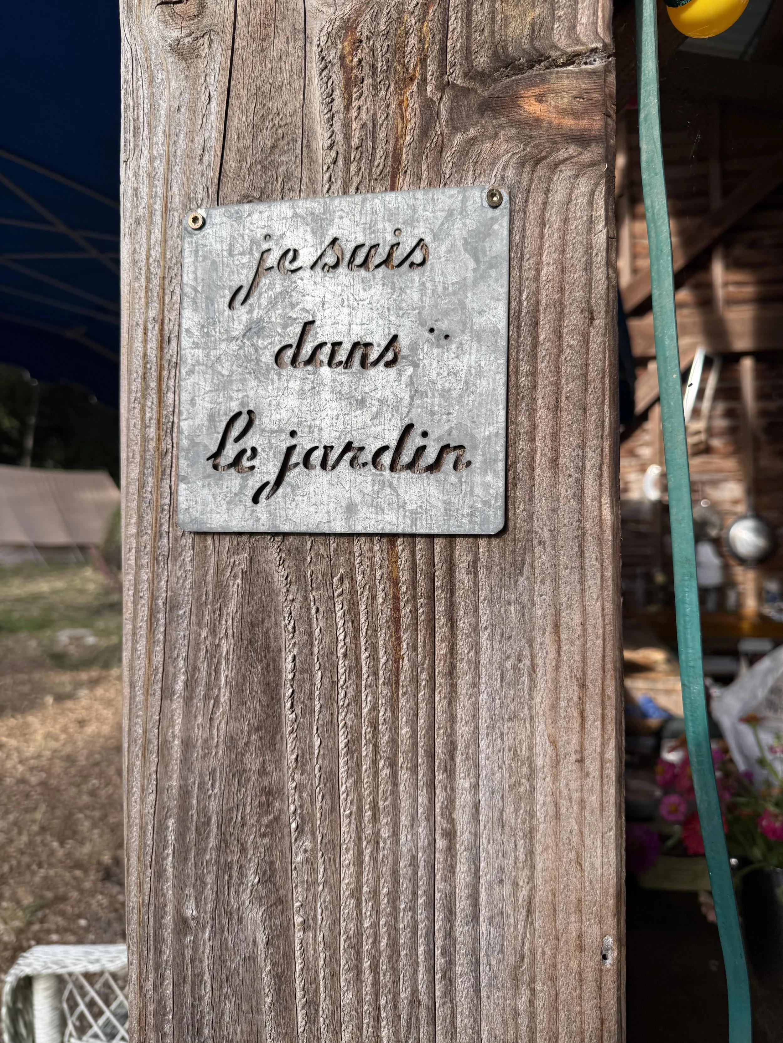 IMG_2954.jpeg