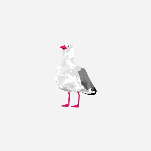 Seagull.gif