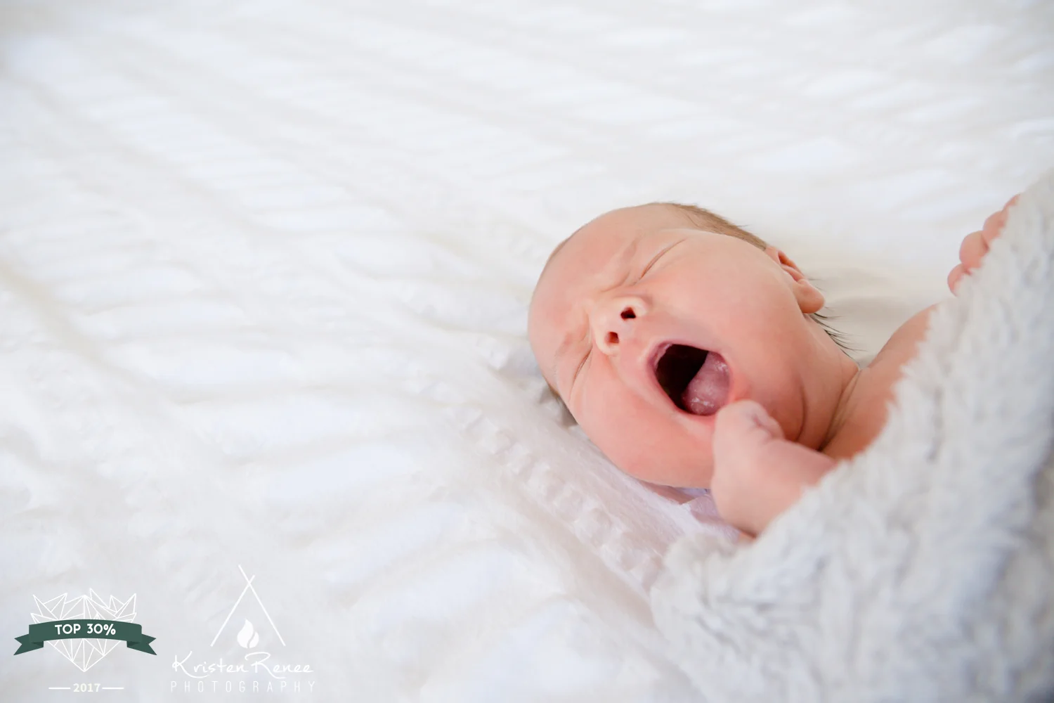 This image of newborn William scored in the top 30% for its category - Children: Newborn! Click here to see more images from Will's newborn portrait session!