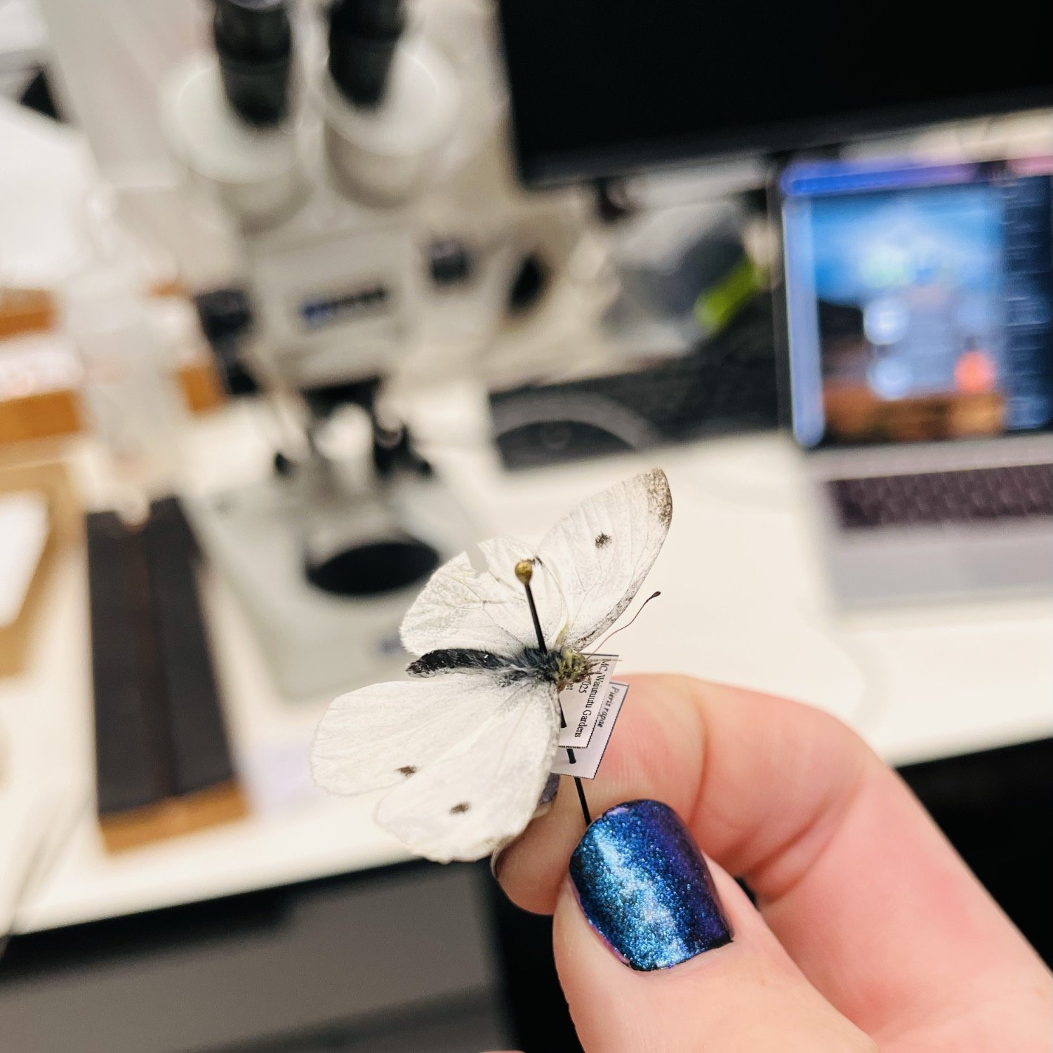 Špendlíky Black Enamel Pins No.3 - 100 pins