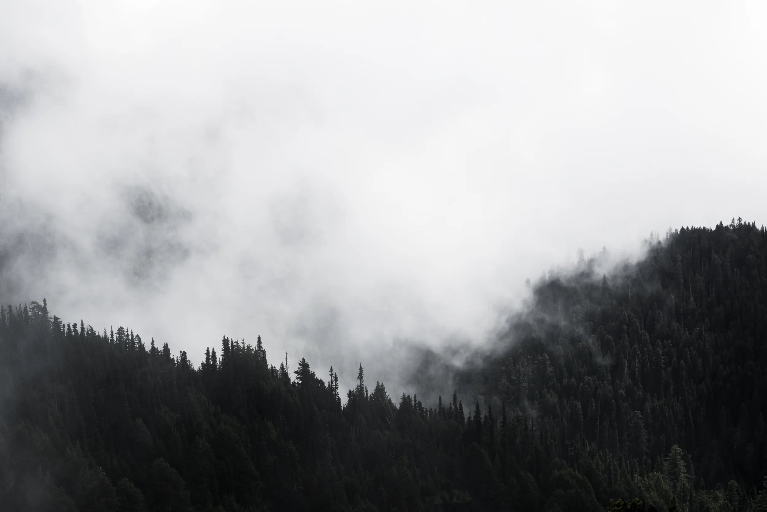DSC01823-Edit.jpg