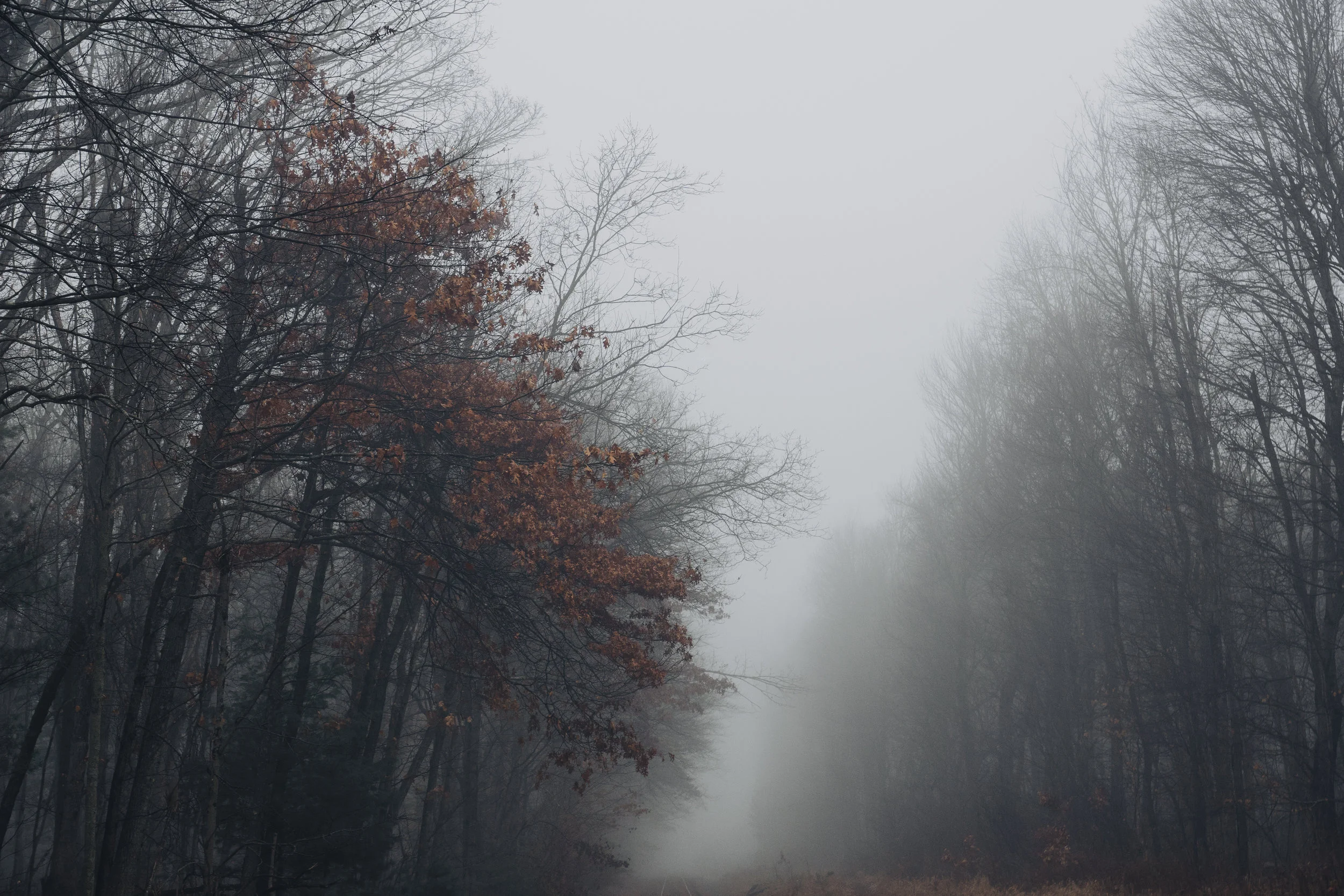 DSC05610-Edit.jpg