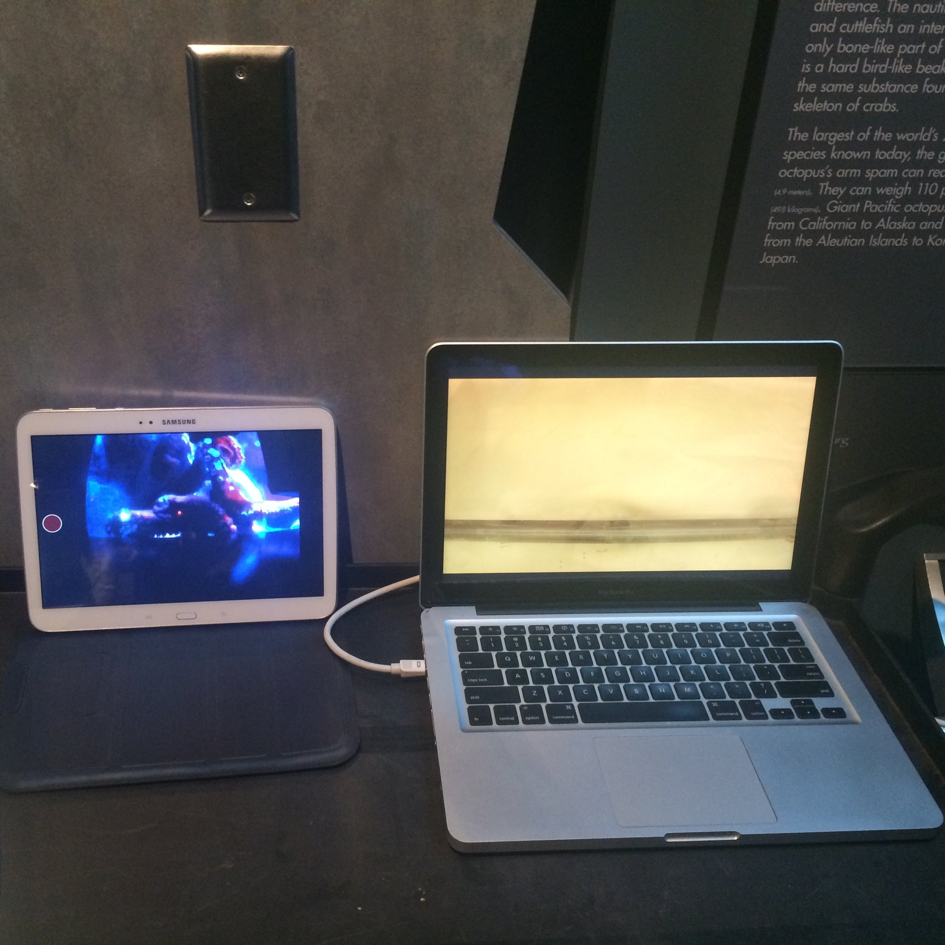  A tablet displays a live video feed of the GPO's reactions (left) while the laptop connected to the TV screen behind the curtain plays the trial video (right). 