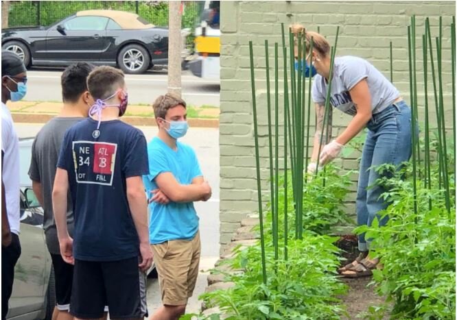 Coach Jacque and the CITs get to work tending to the growing tomato plants in their garden plot located in front of the main office.