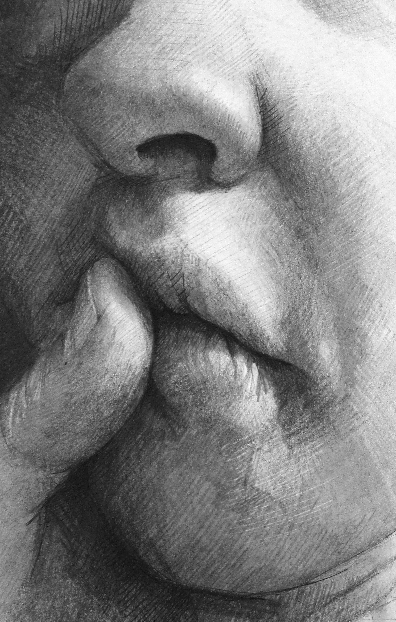 Untitled (F-38) charcoal, graphite, and pen 4 x 7 inches 2012