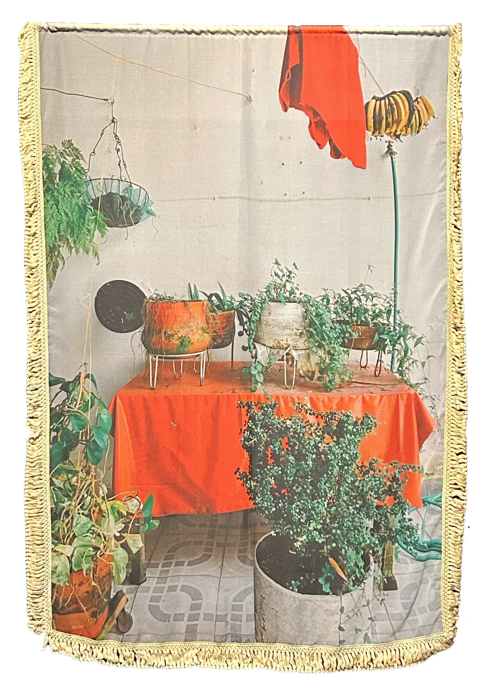 Antes de Muerte (Before Death), 2023