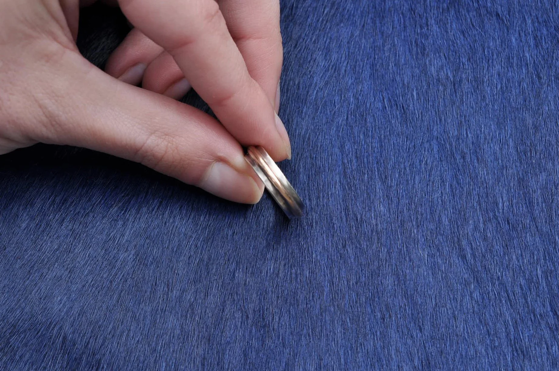 DSC_1704_PS - Copy.JPG