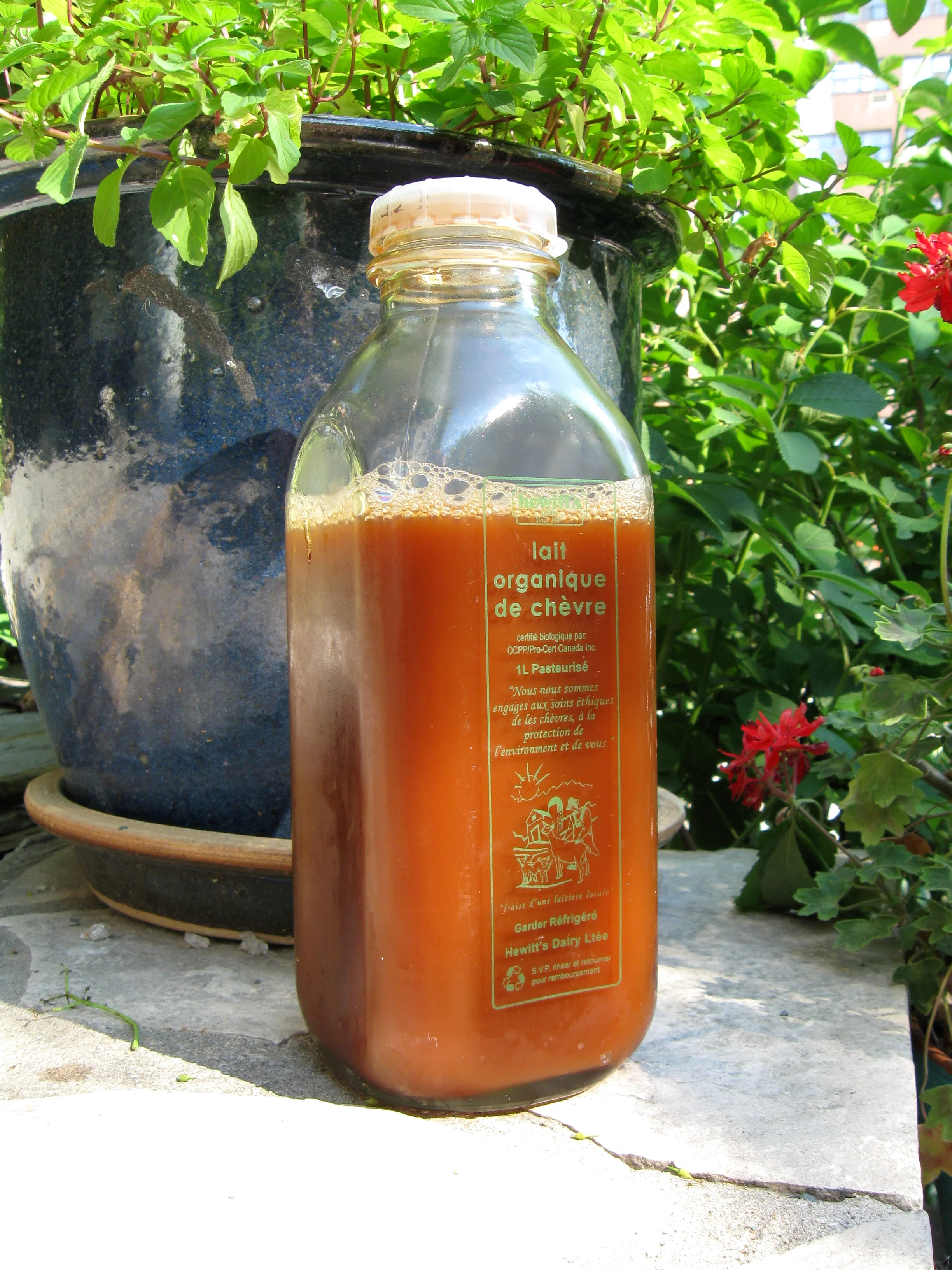 Iced Tea Concentrate