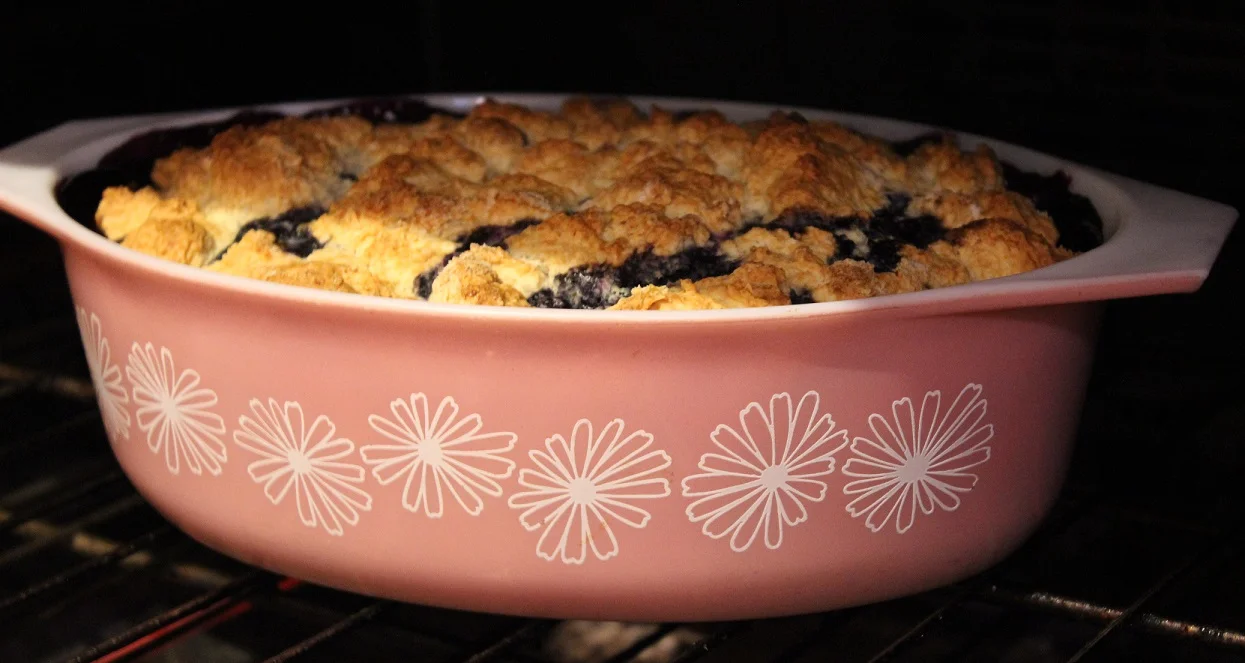 Blueberry Cobbler, with buttermilk dumplings on top.