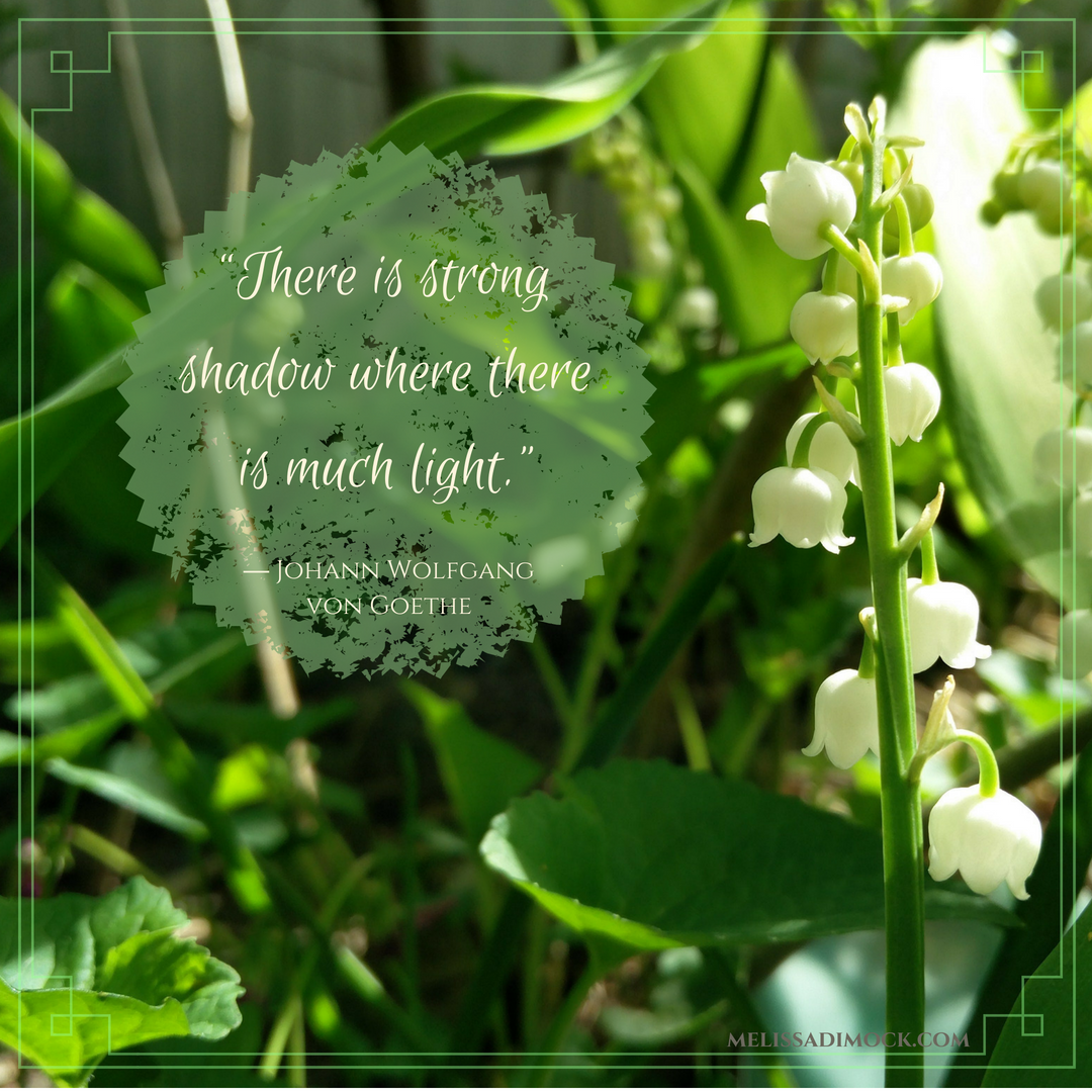 “There is strong shadow where there is much light.”.png