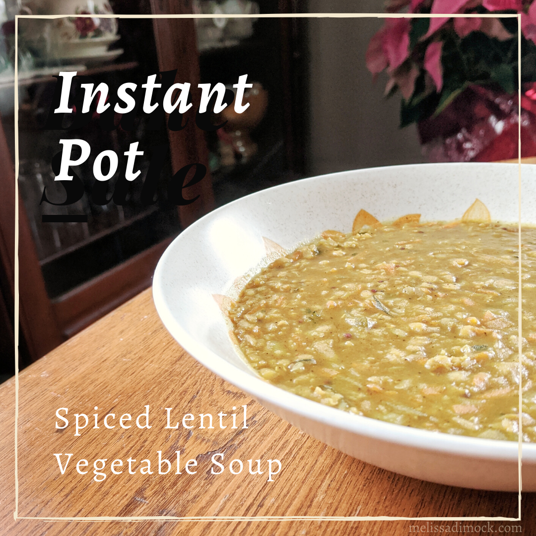Instant Pot Spiced Lentil Vegetable Soup