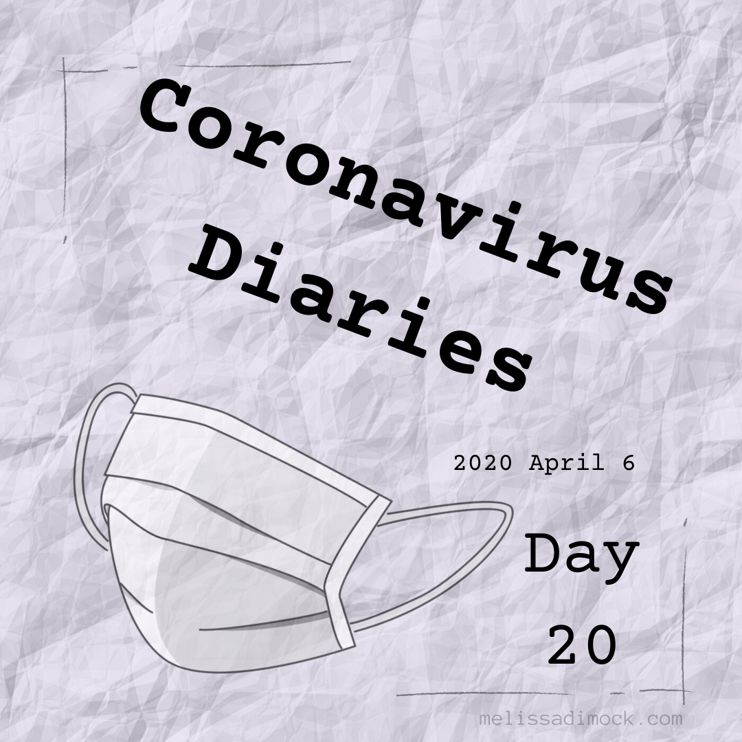 Day 20