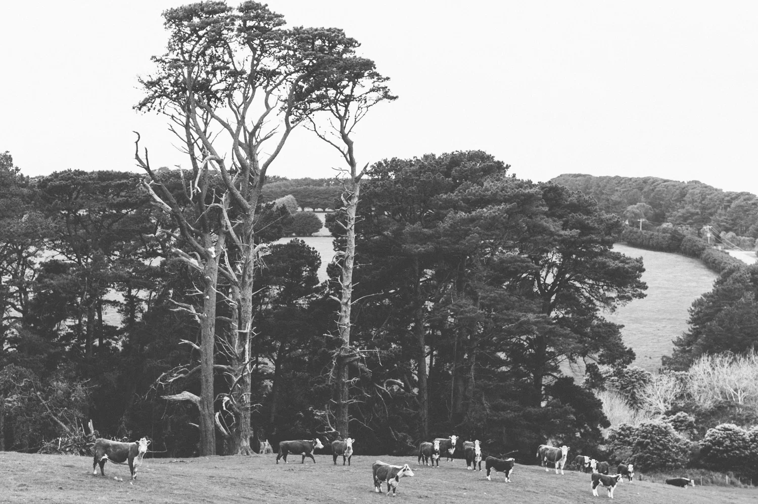 Cape Schanck Fathers Day 2016 For Web-2.jpg