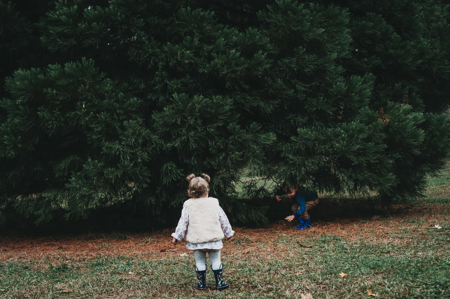 Chris Shanon Jacob Olivia Alfred Nicholas Gardens For Web-139.jpg