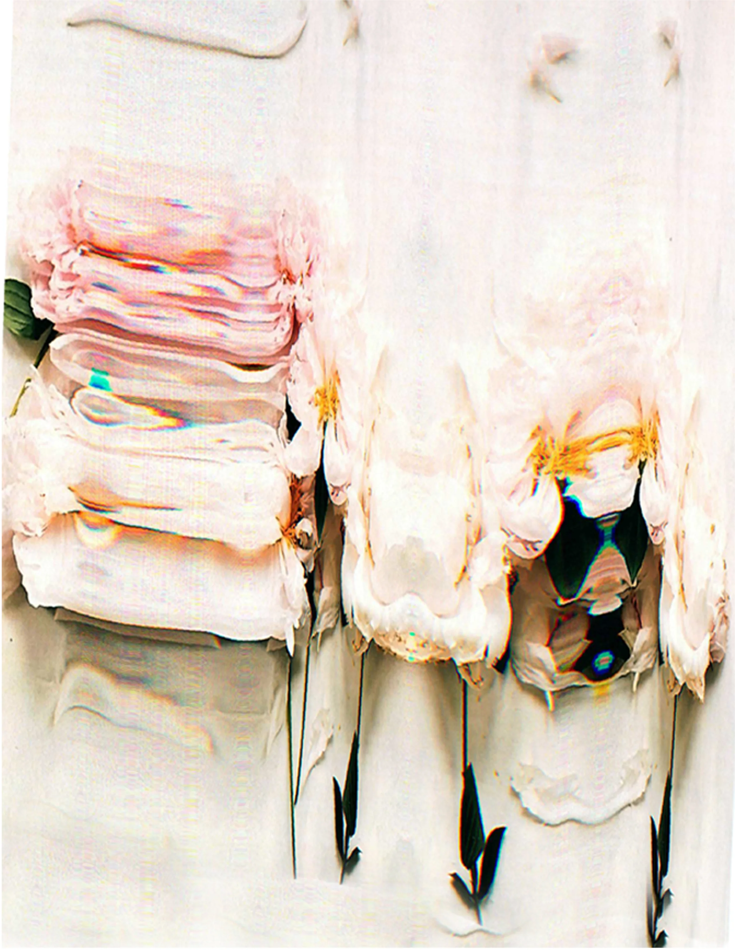 Digital print.jpg