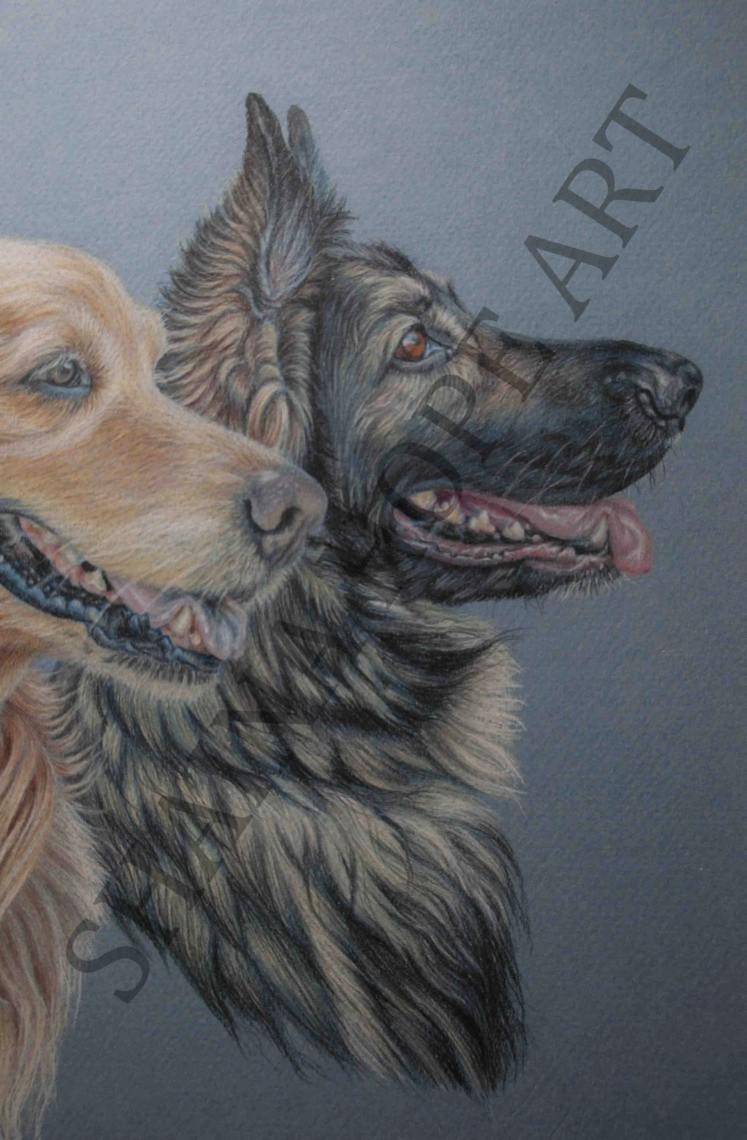 Laura's Ark Dogs - Detail