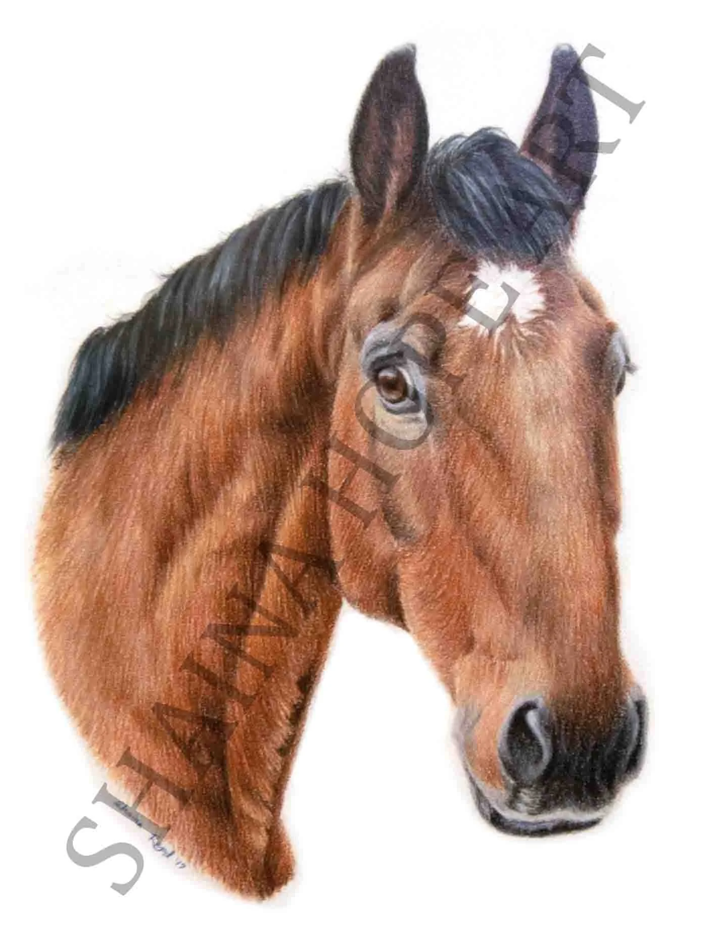 Moosi