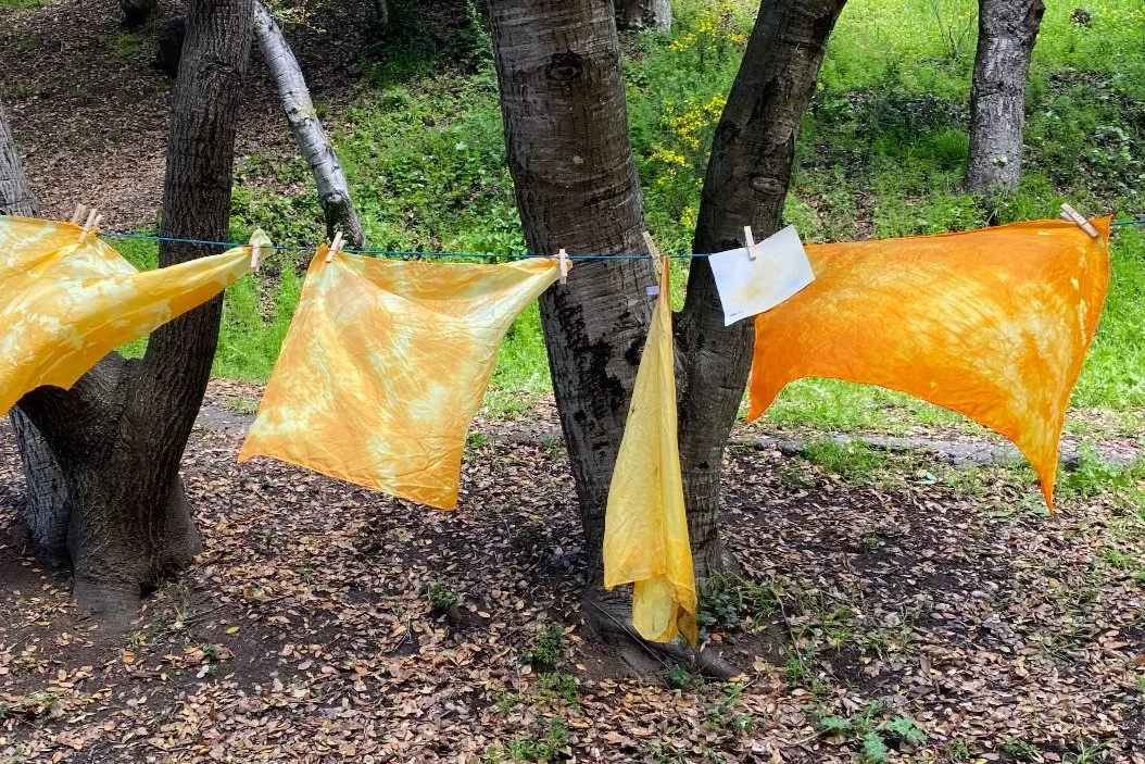 Spring Picnic &amp; Tie-Dye Party