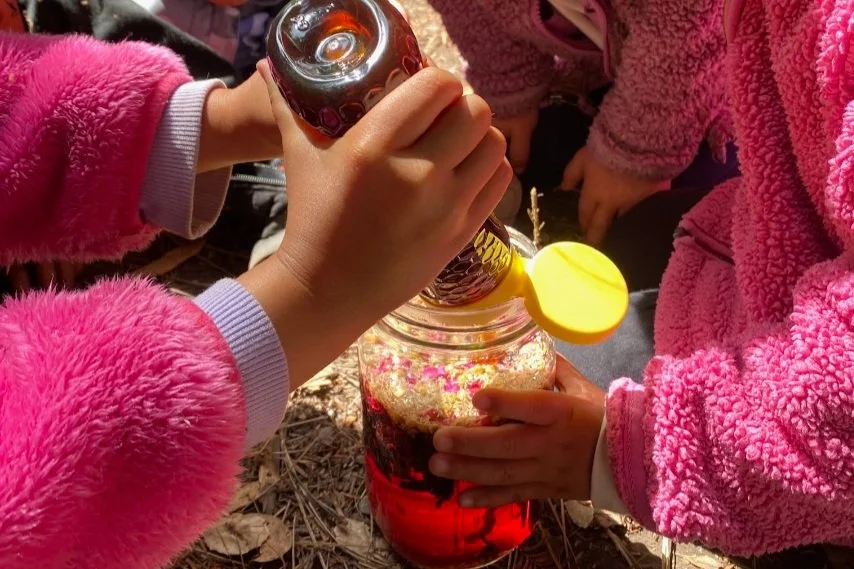 Malcolm X's Birthday