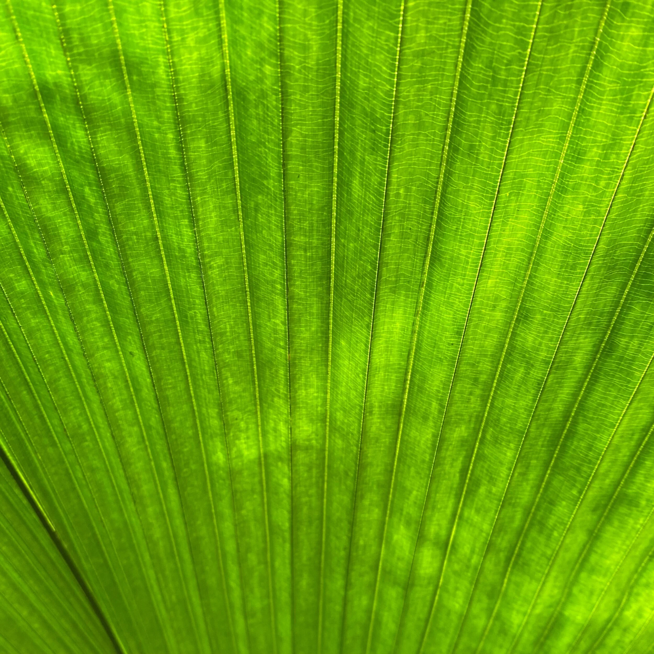 29E8BE38-3968-480B-B028-D9EE23E28B0E