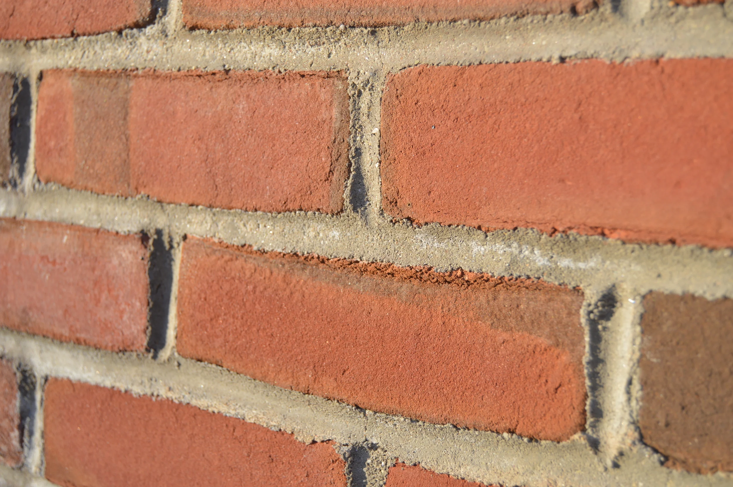 End of Fall 2015-Jan. 2016 208.JPG