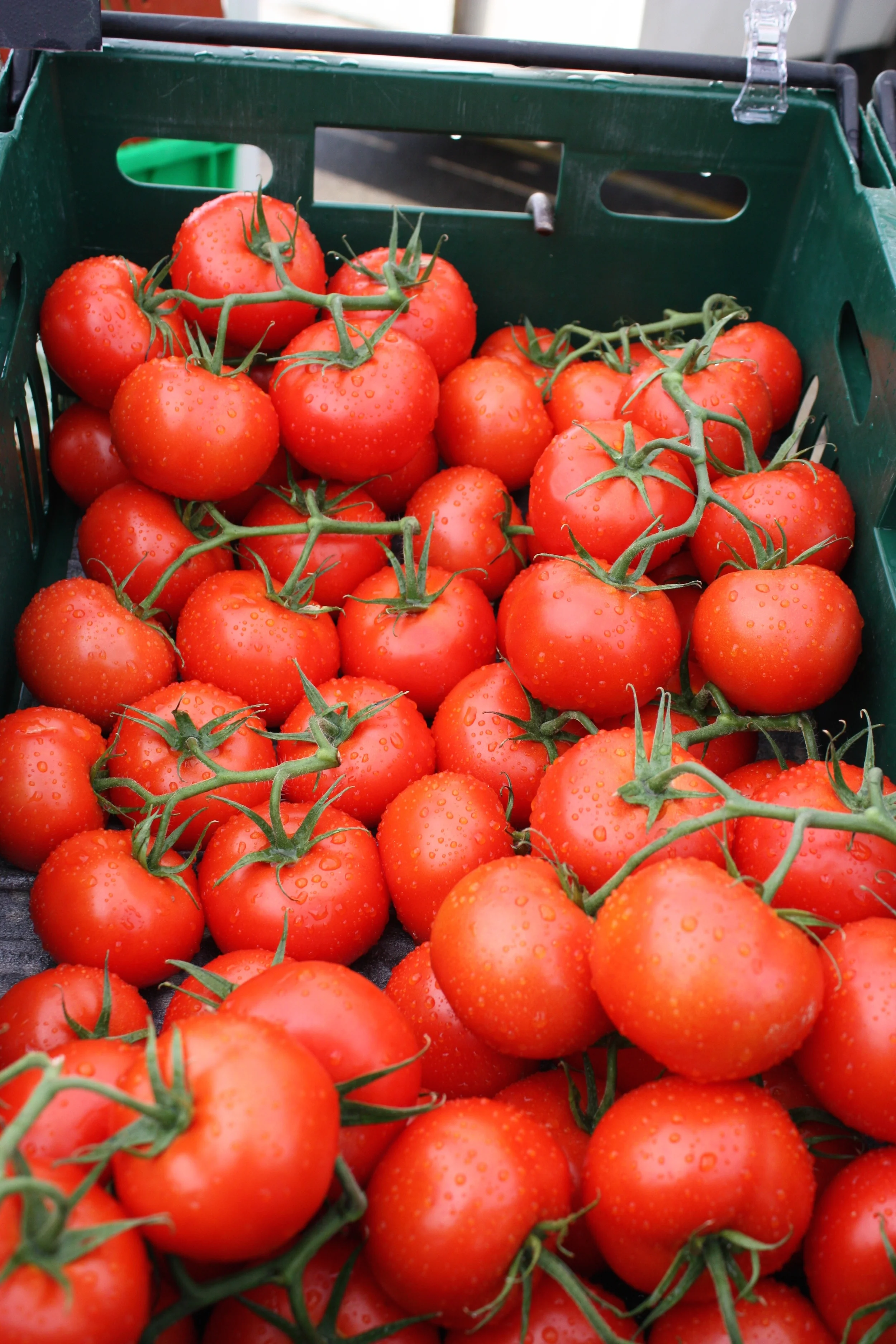 The photo of the week features the gorgeous tomatoes at S4 Greenhouses, right after a "wash" from a quick and strong storm that came through our market on July 6.