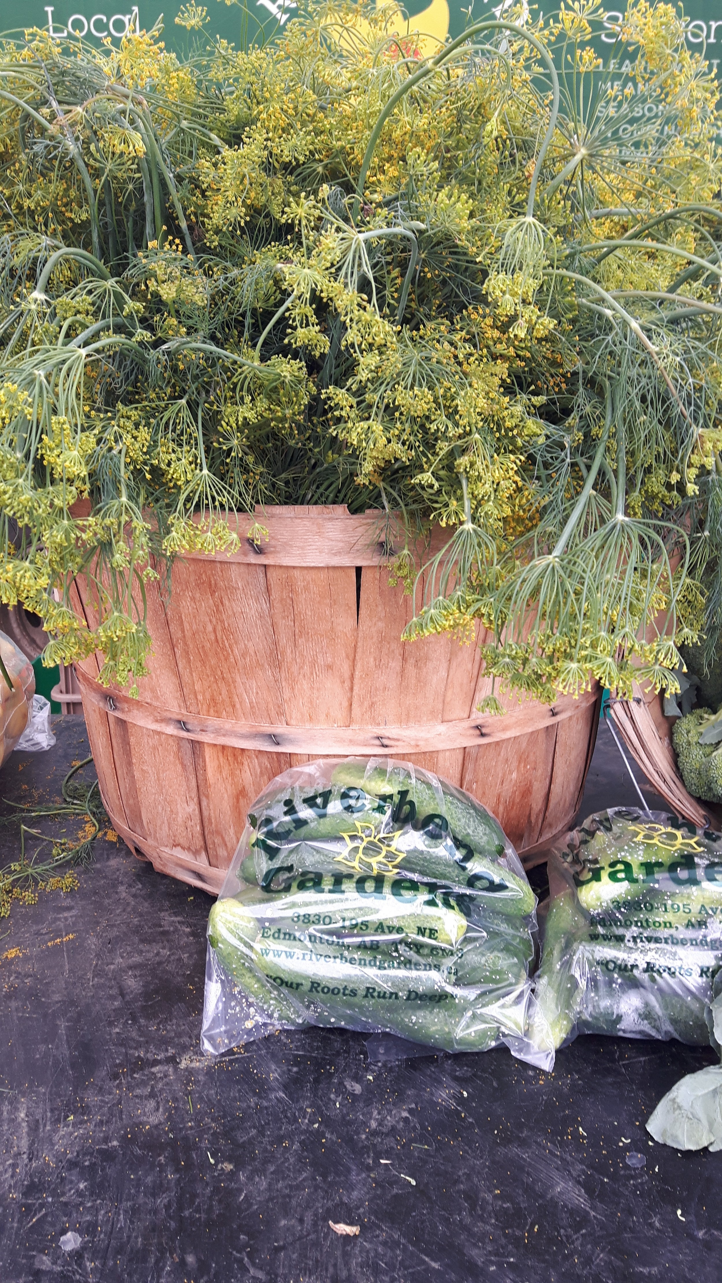 Our photo of the week features the gorgeous dill and cucumber display from Riverbend Gardens last market.