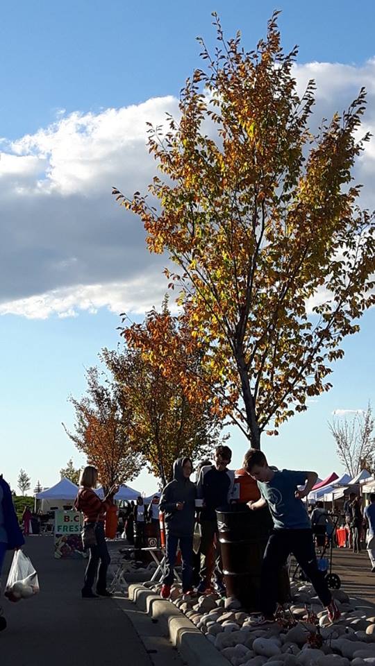 Last Market of the season, come out and enjoy the sun before winter sets in. 