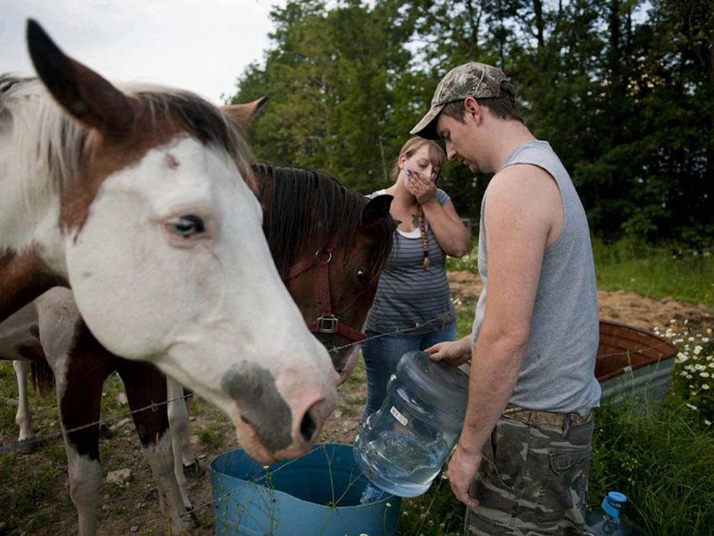 Having no clean well water, Simons and Lamphere give their horses bottled water to drink. They claim their water was contaminated by nearby gas-drilling activities causing their daughter to be sick and their animals to die. Monroeton, Bradford County, 2011. © Nina Berman/MSDP 2011