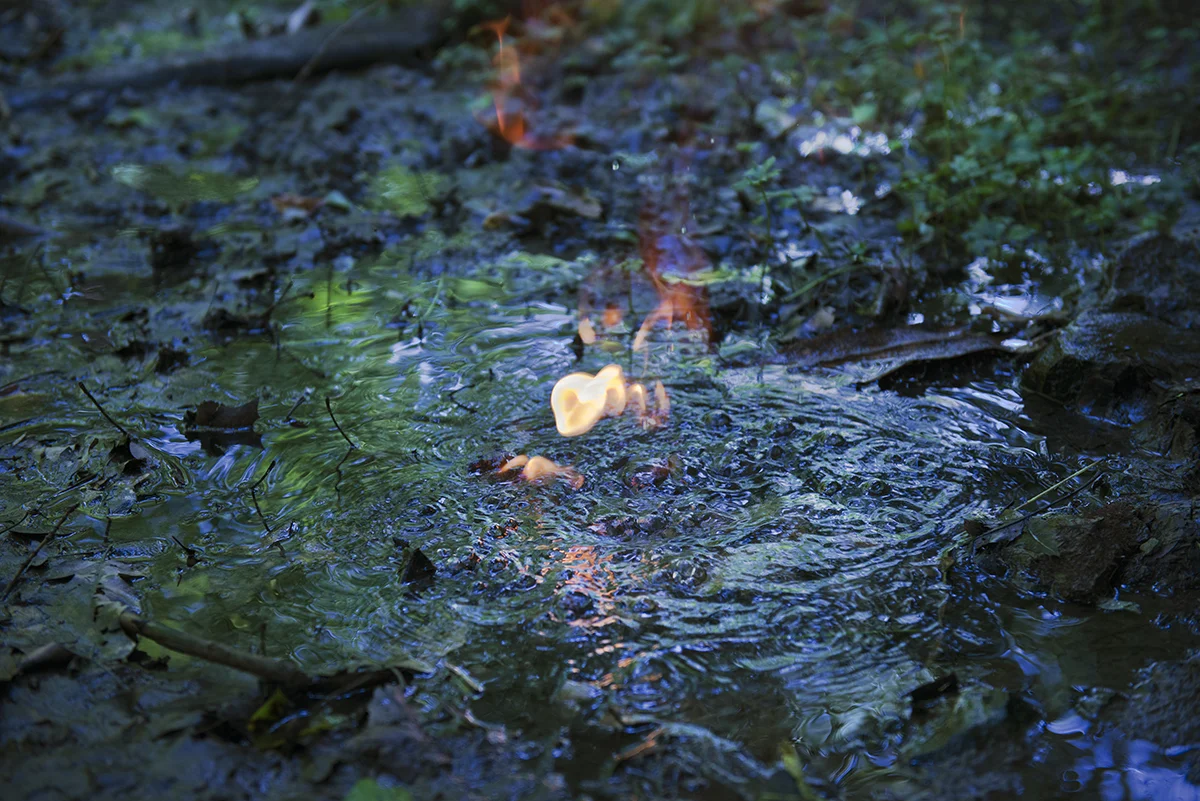 Lighting water on fire due to the natural gas bubbling up from a natural spring. The gas showed up in the spring after David Headley's property was fracked in Smithfield, PA. Headley owns horses and discovered the bubbles when his horses stopped drinking water from this location after the fracking. © Scott Goldsmith/MSDP 2012