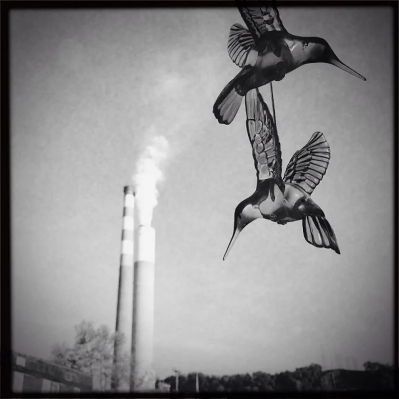 Glass hummingbirds dangle from a tree across from the power plant in Cheswick, PA. © Annie O'Neill/TDW 2015