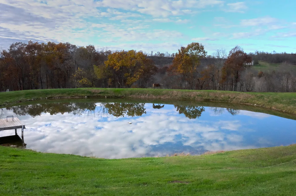 The pond at the Muffet farm, from the east. © Brian Cohen/MSDP 2015